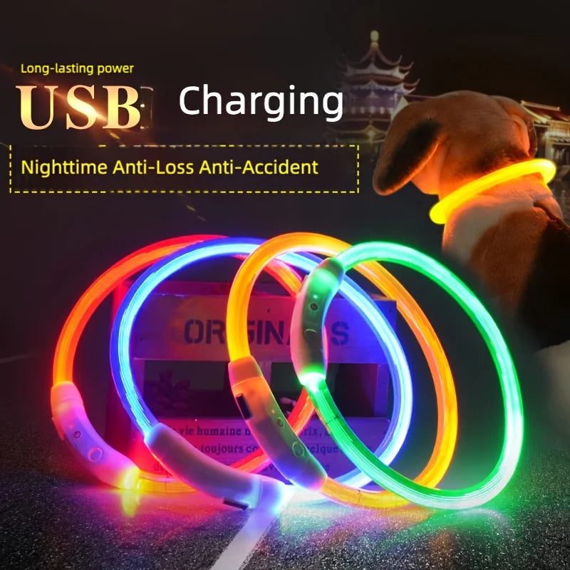 USB Rechargeable LED Safety Collar for Dogs