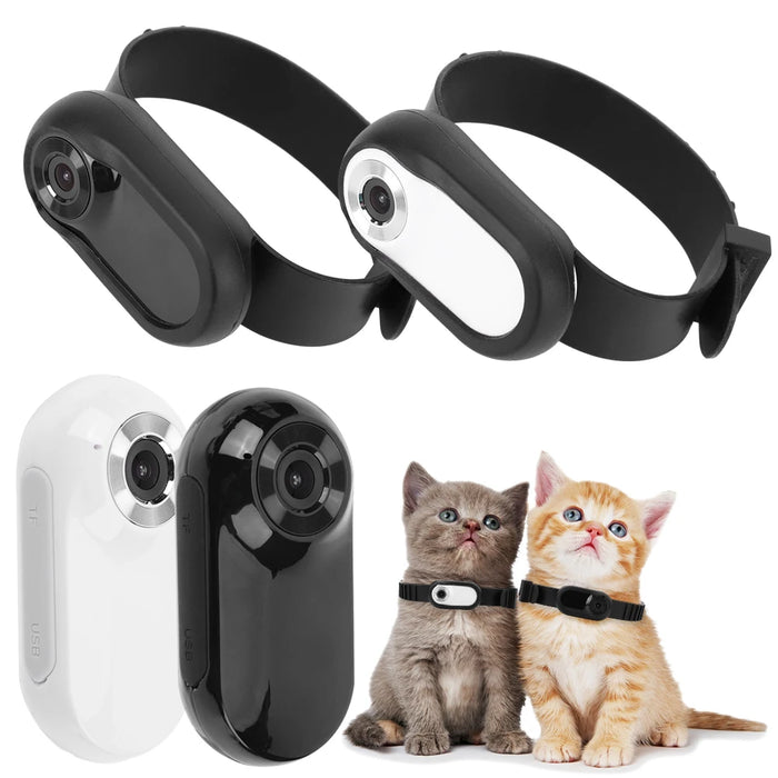 1080p Pet Collar Camera with Optional 32GB Memory Card
