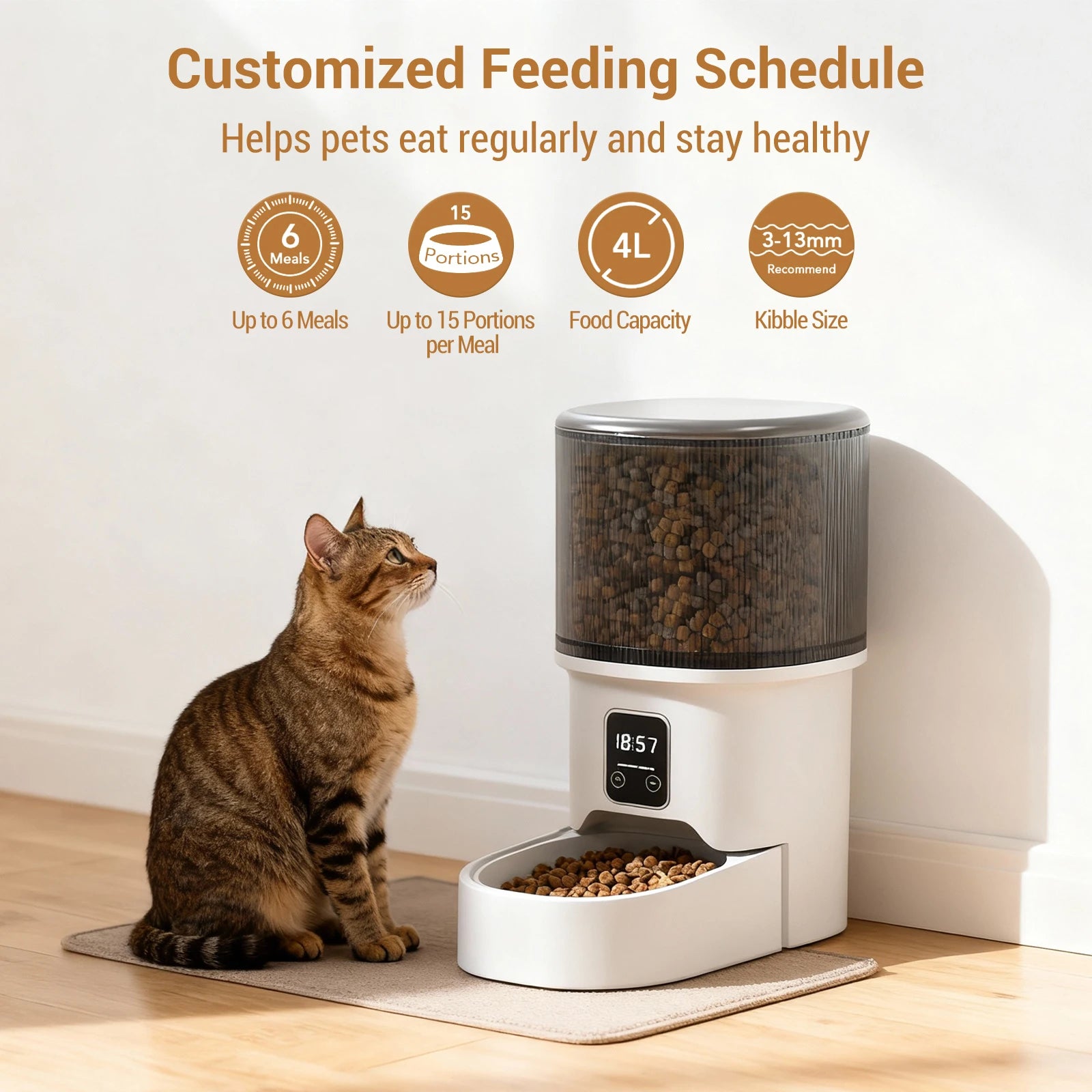 Programmable 4L Automatic Pet Feeder for Cats & Small Dogs