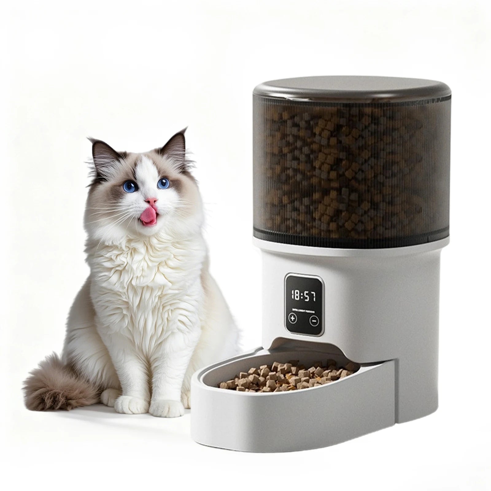 Programmable 4L Automatic Pet Feeder for Cats & Small Dogs