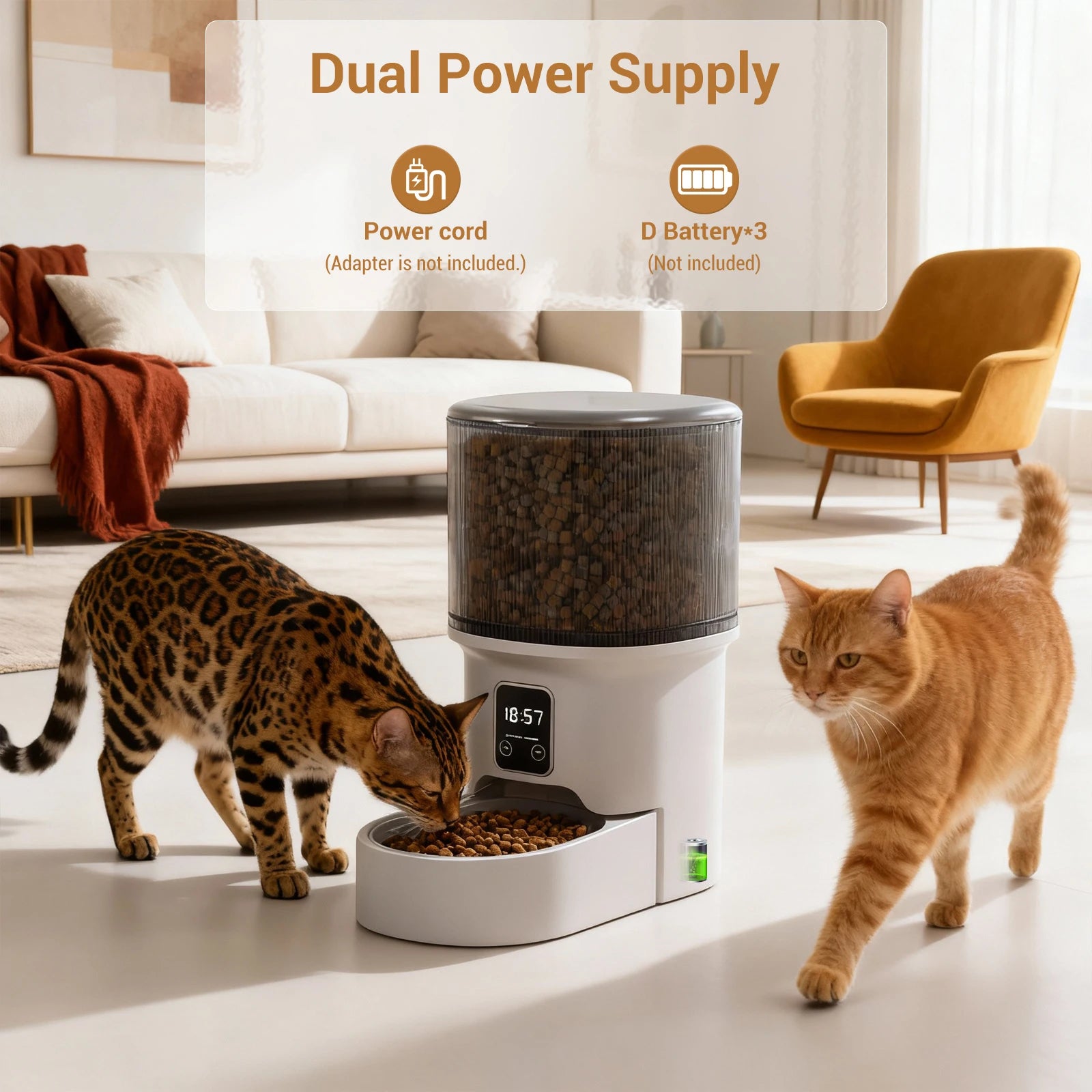 Programmable 4L Automatic Pet Feeder for Cats & Small Dogs