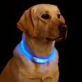 USB Rechargeable LED Safety Collar for Dogs