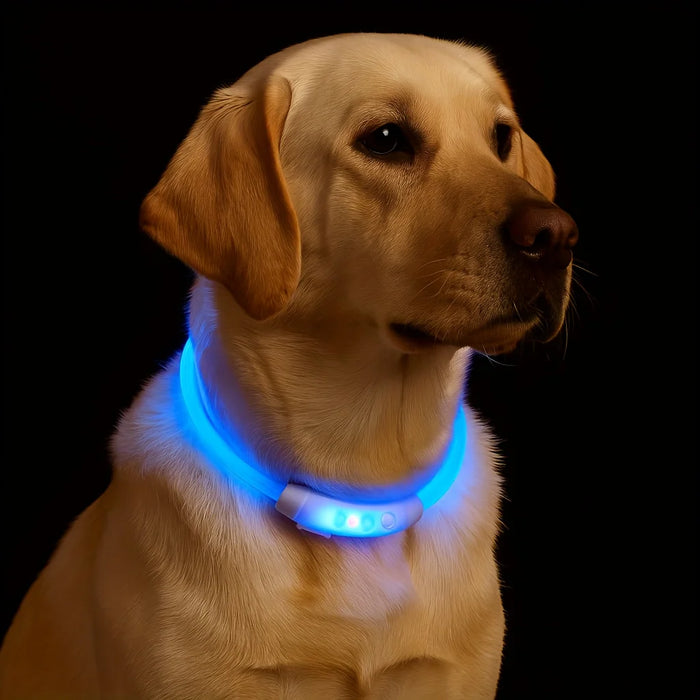 USB Rechargeable LED Safety Collar for Dogs